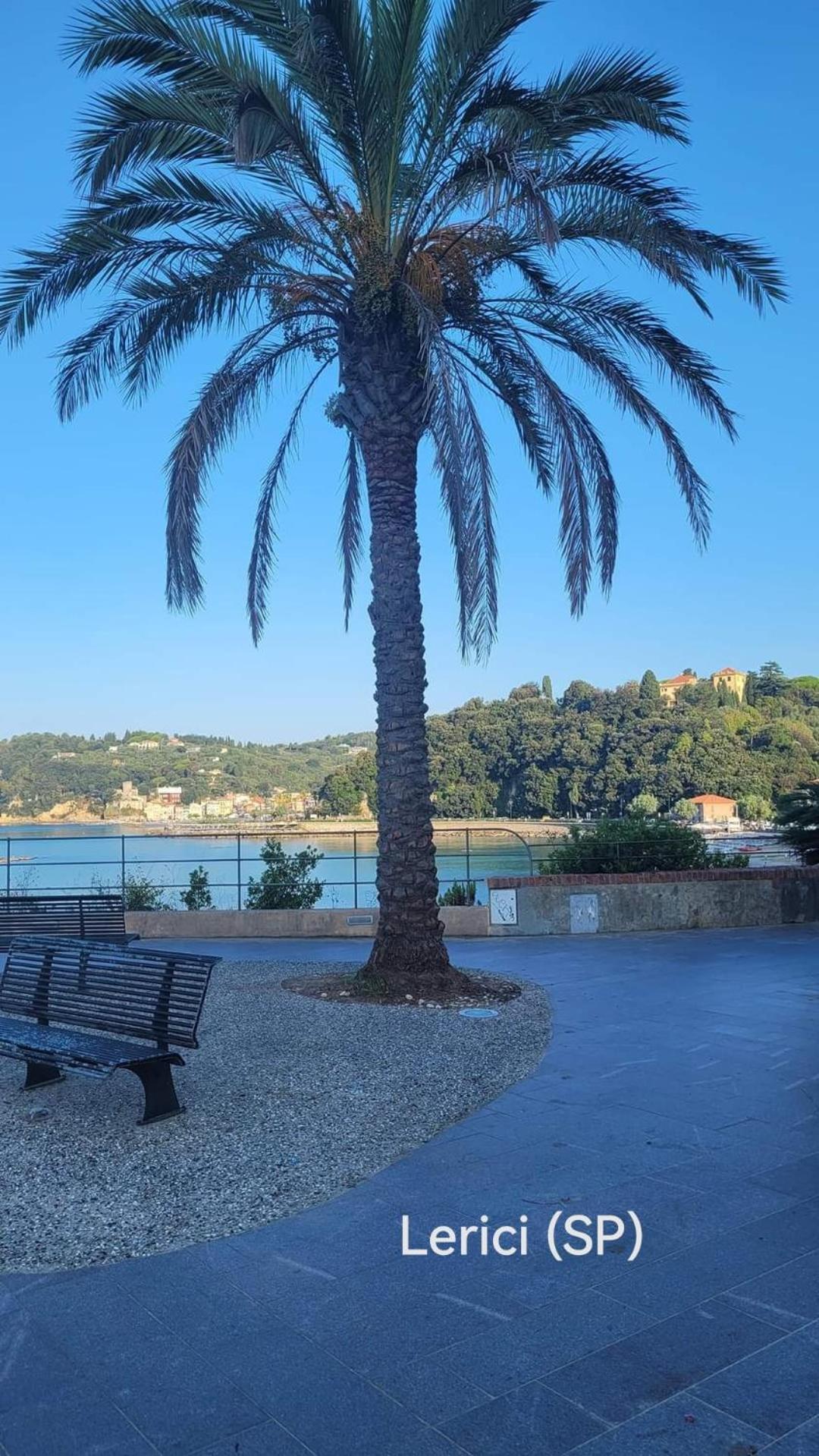 Luni Casa Dolce Casa Posto Accogliente Tranquillo Apartment Nicola ภายนอก รูปภาพ